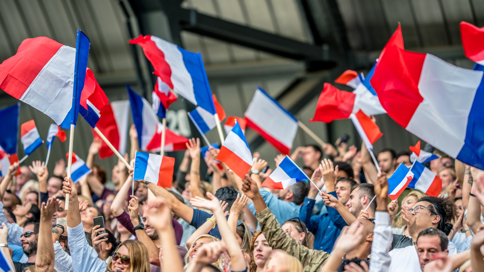 Open Access “Je suis désolé, je parle français”: How English Hegemony Undermines Efforts to Shift Power in Global Health Open Access “Je suis désolé, je parle français”: How English Hegemony Undermines Efforts to Shift Power in Global Health